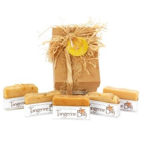 Assorted Goat's Milk Soap Gift Box